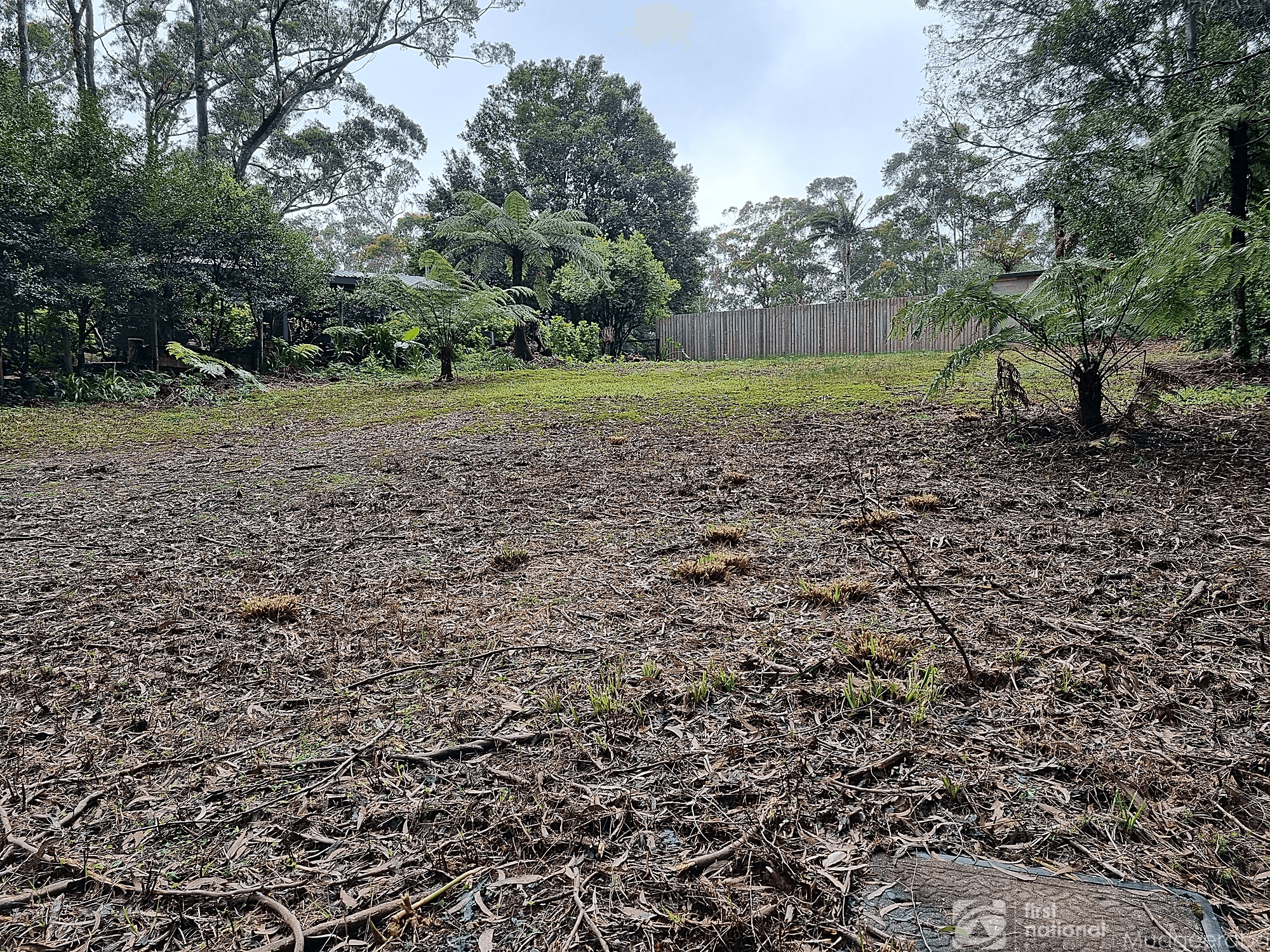 13 Banksia Road, Springbrook, QLD 4213