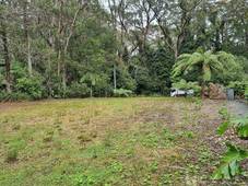 13 Banksia Road, Springbrook, QLD 4213