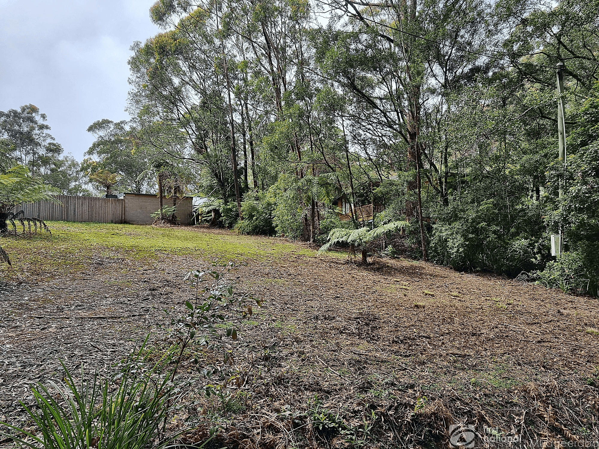 13 Banksia Road, Springbrook, QLD 4213