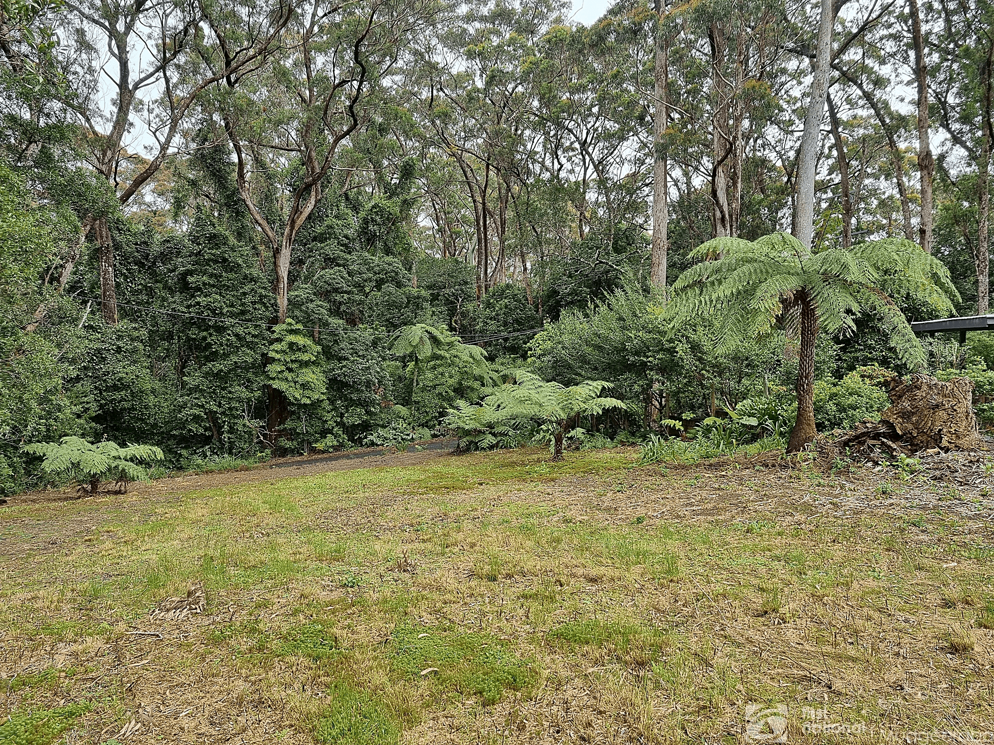 13 Banksia Road, Springbrook, QLD 4213