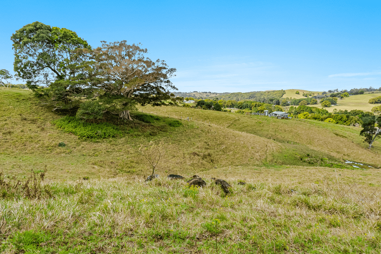 474 Lismore Road, BINNA BURRA, NSW 2479