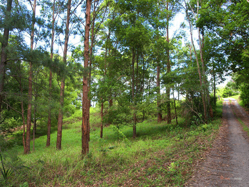 Lot 1 Strouds Road, BONVILLE, NSW 2450