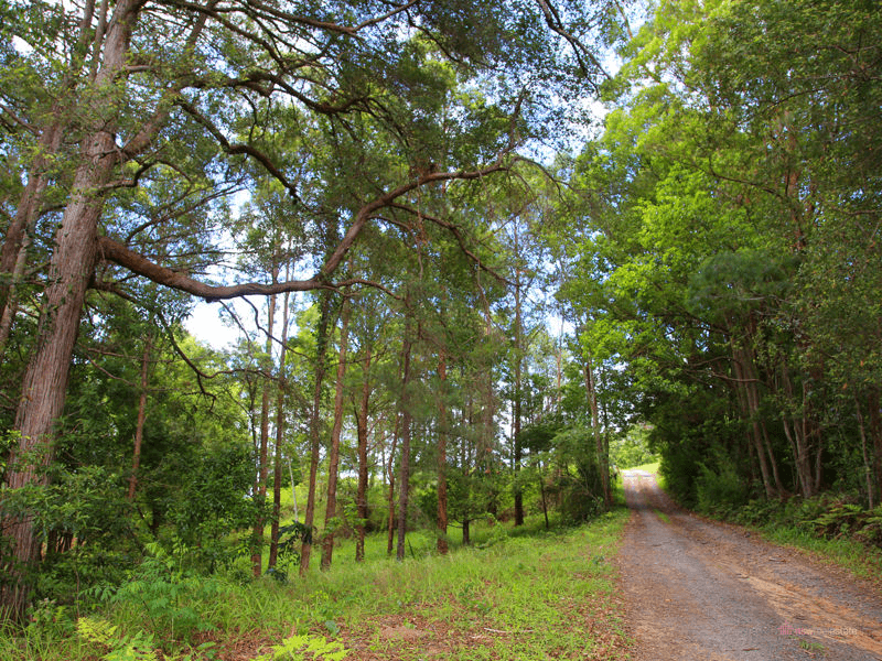 Lot 1 Strouds Road, BONVILLE, NSW 2450