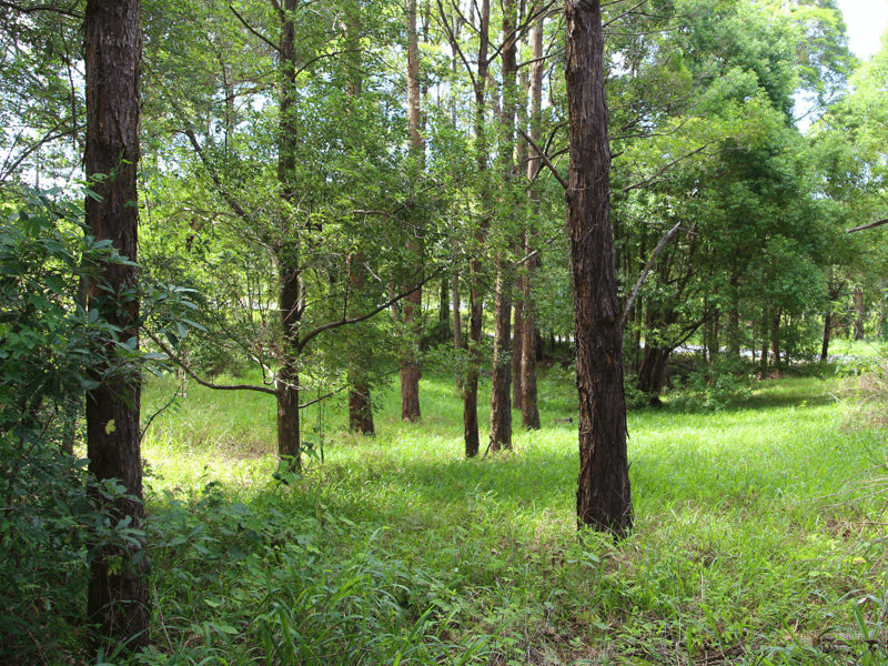 Lot 1 Strouds Road, BONVILLE, NSW 2450