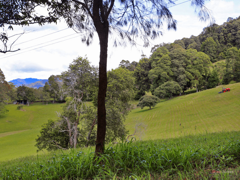 Lot 1 Strouds Road, BONVILLE, NSW 2450