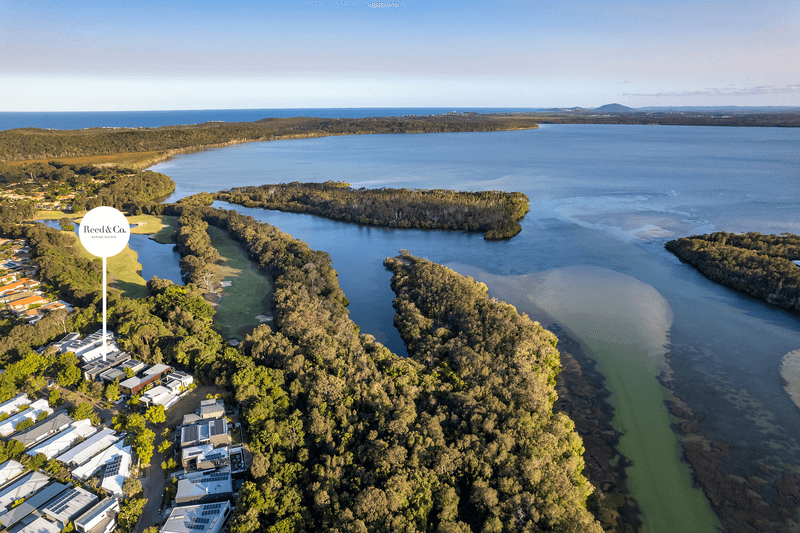 22 Cottonwood Court, Noosa Heads, QLD 4567