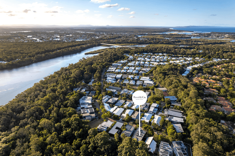 22 Cottonwood Court, Noosa Heads, QLD 4567