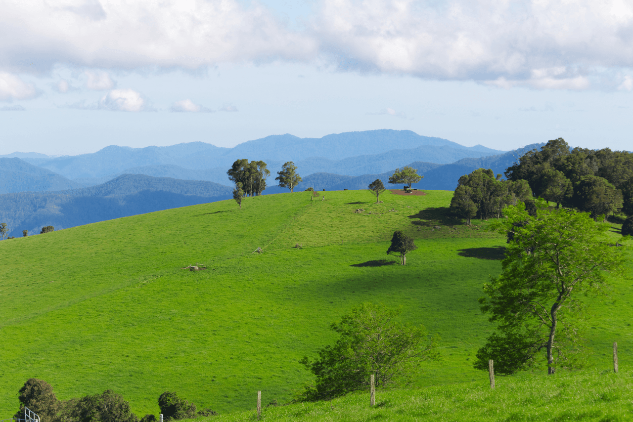 5287 Waterfall Way, DORRIGO, NSW 2453