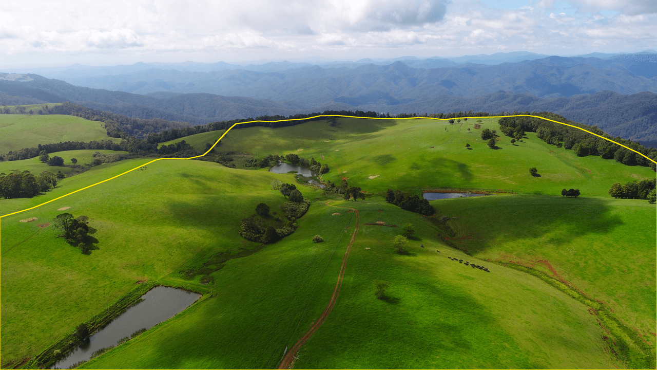 5287 Waterfall Way, DORRIGO, NSW 2453