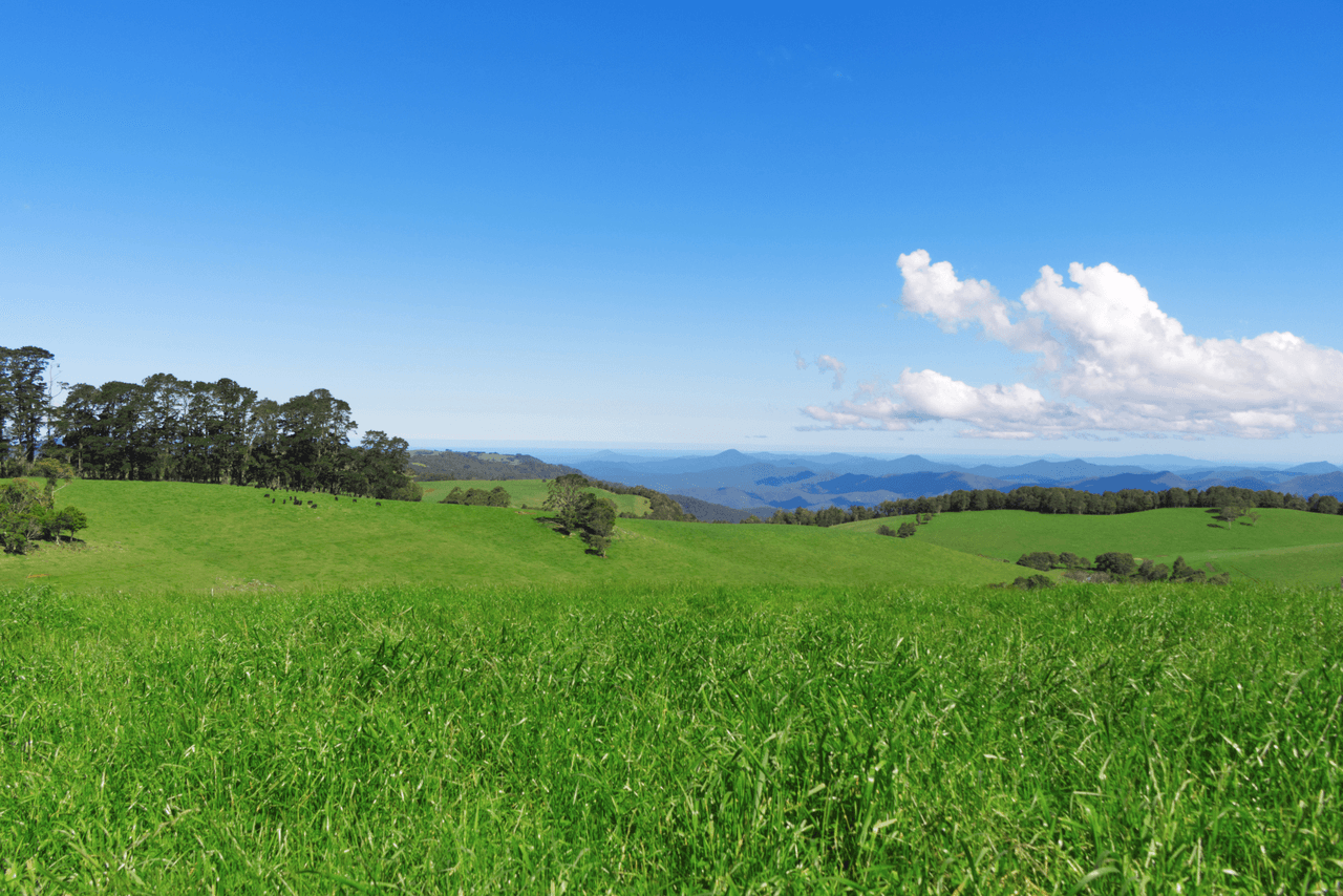 5287 Waterfall Way, DORRIGO, NSW 2453