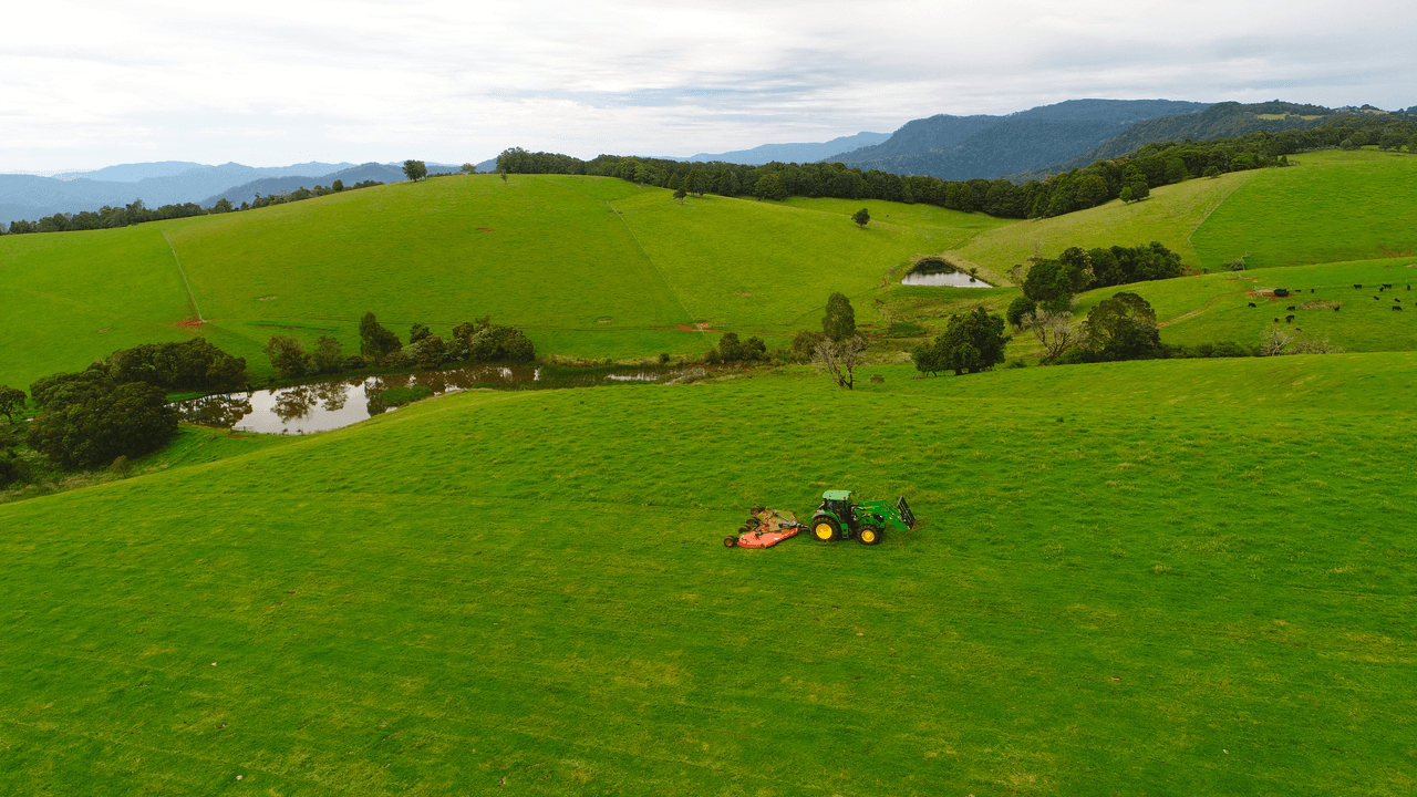 5287 Waterfall Way, DORRIGO, NSW 2453