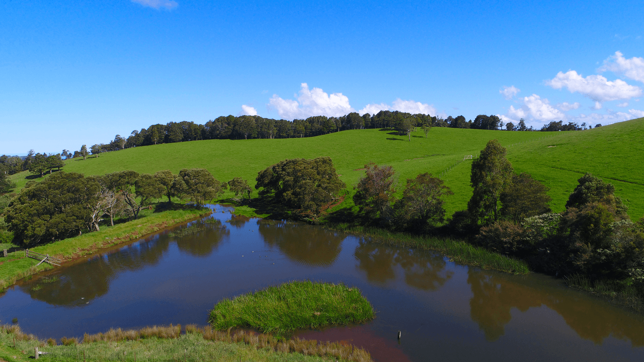 5287 Waterfall Way, DORRIGO, NSW 2453