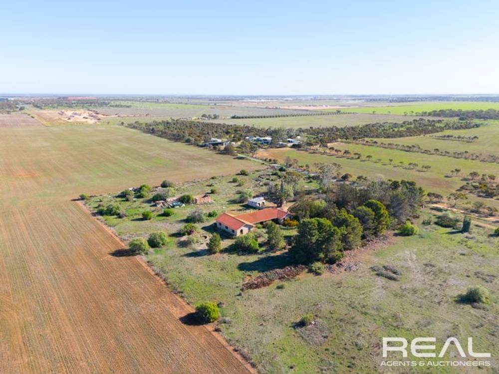 259 Shannon Road, LOWER LIGHT, SA 5501