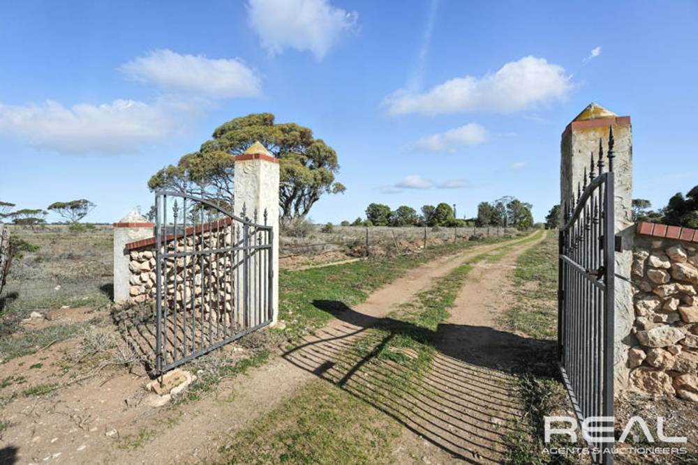 259 Shannon Road, LOWER LIGHT, SA 5501
