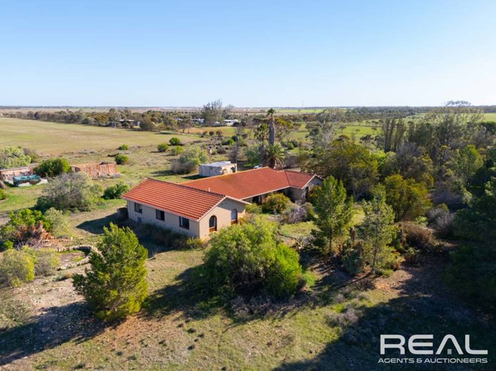 259 Shannon Road, LOWER LIGHT, SA 5501