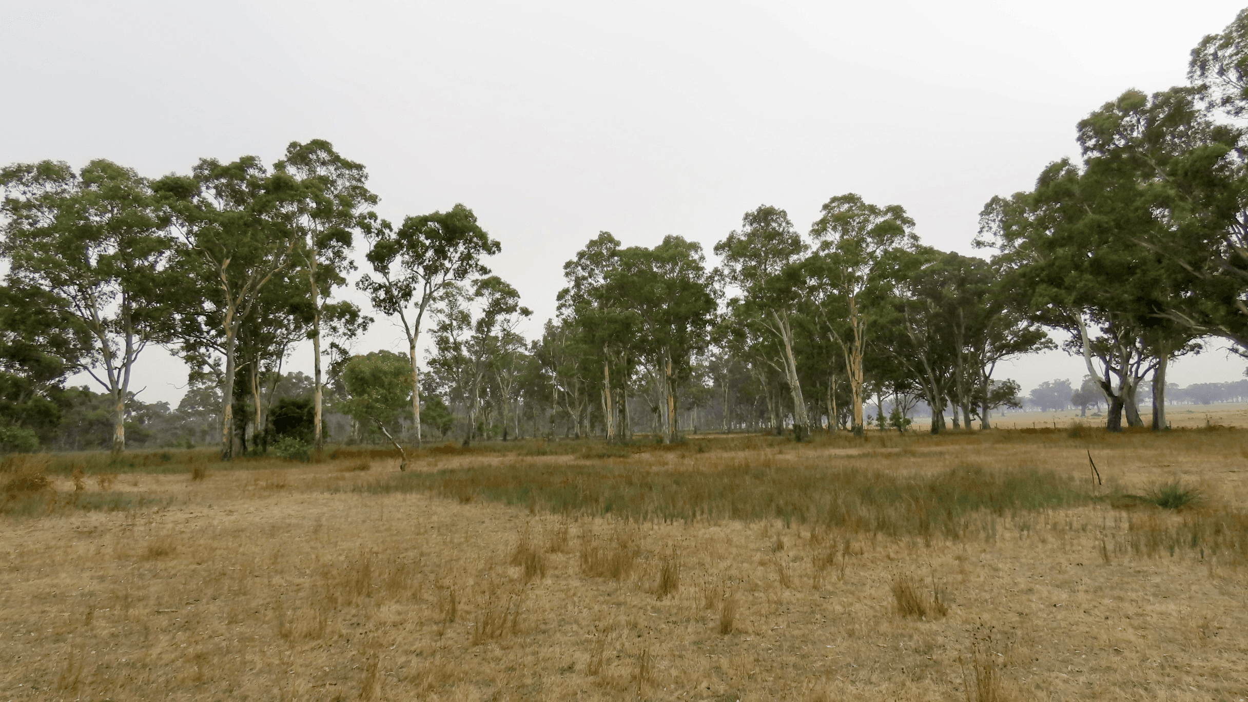 Lot 1 Fullartons Road, Poolaijelo, VIC 3312