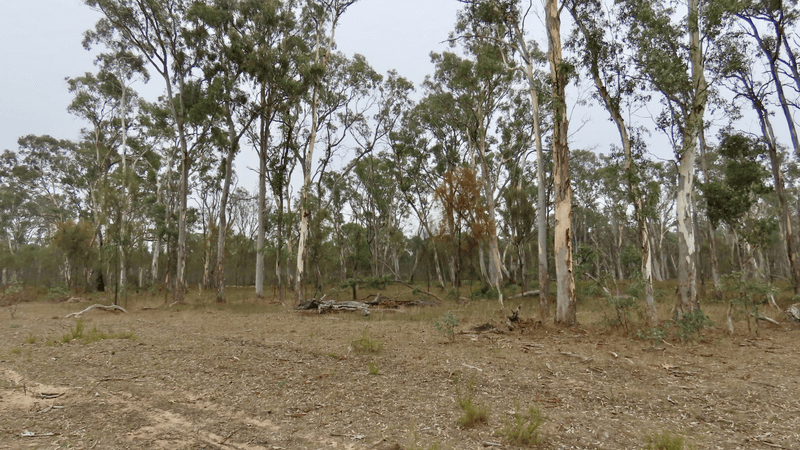 Lot 1 Fullartons Road, Poolaijelo, VIC 3312