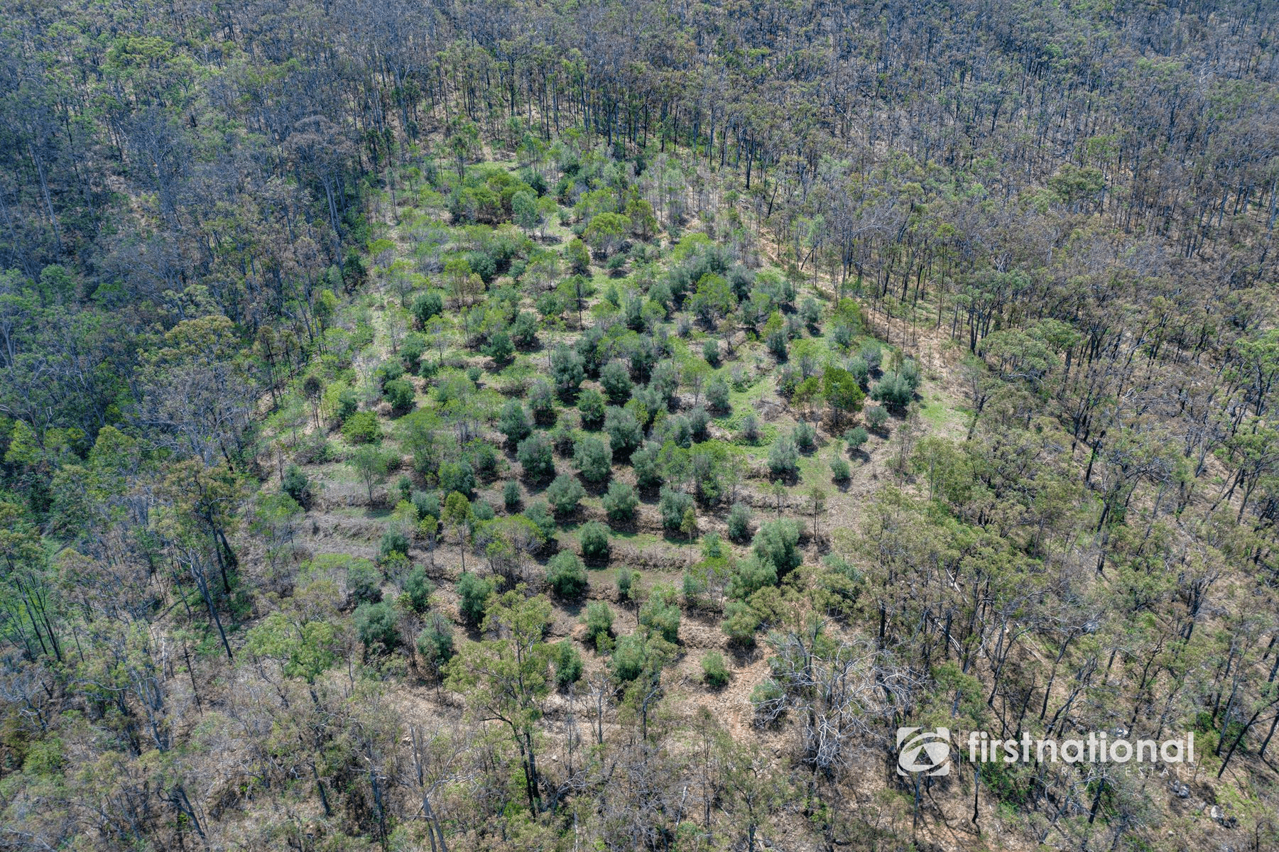 1532 Gaeta Road, GAETA, QLD 4671