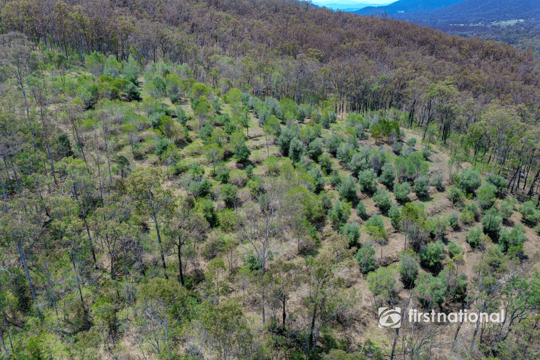 1532 Gaeta Road, GAETA, QLD 4671