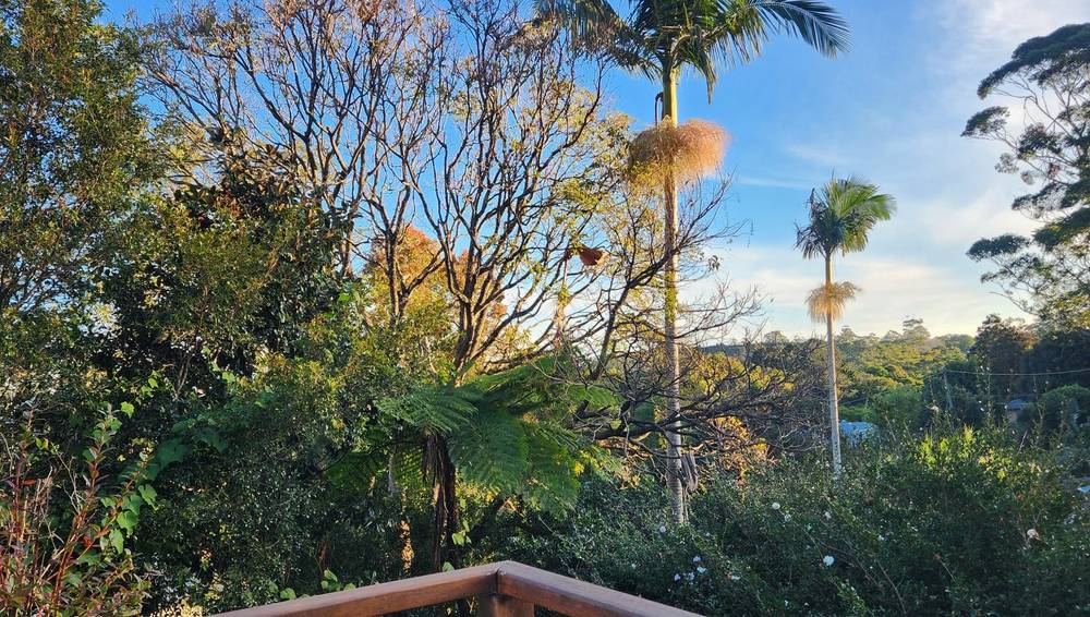 54 Jenyns Road, TAMBORINE MOUNTAIN, QLD 4272
