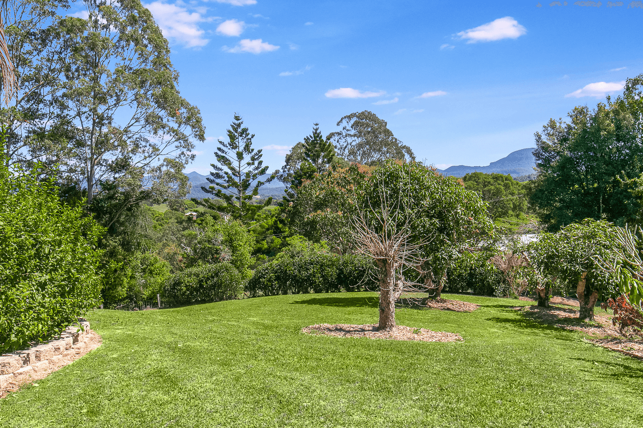 171 Blackwoods Road, NOBBYS CREEK, NSW 2484