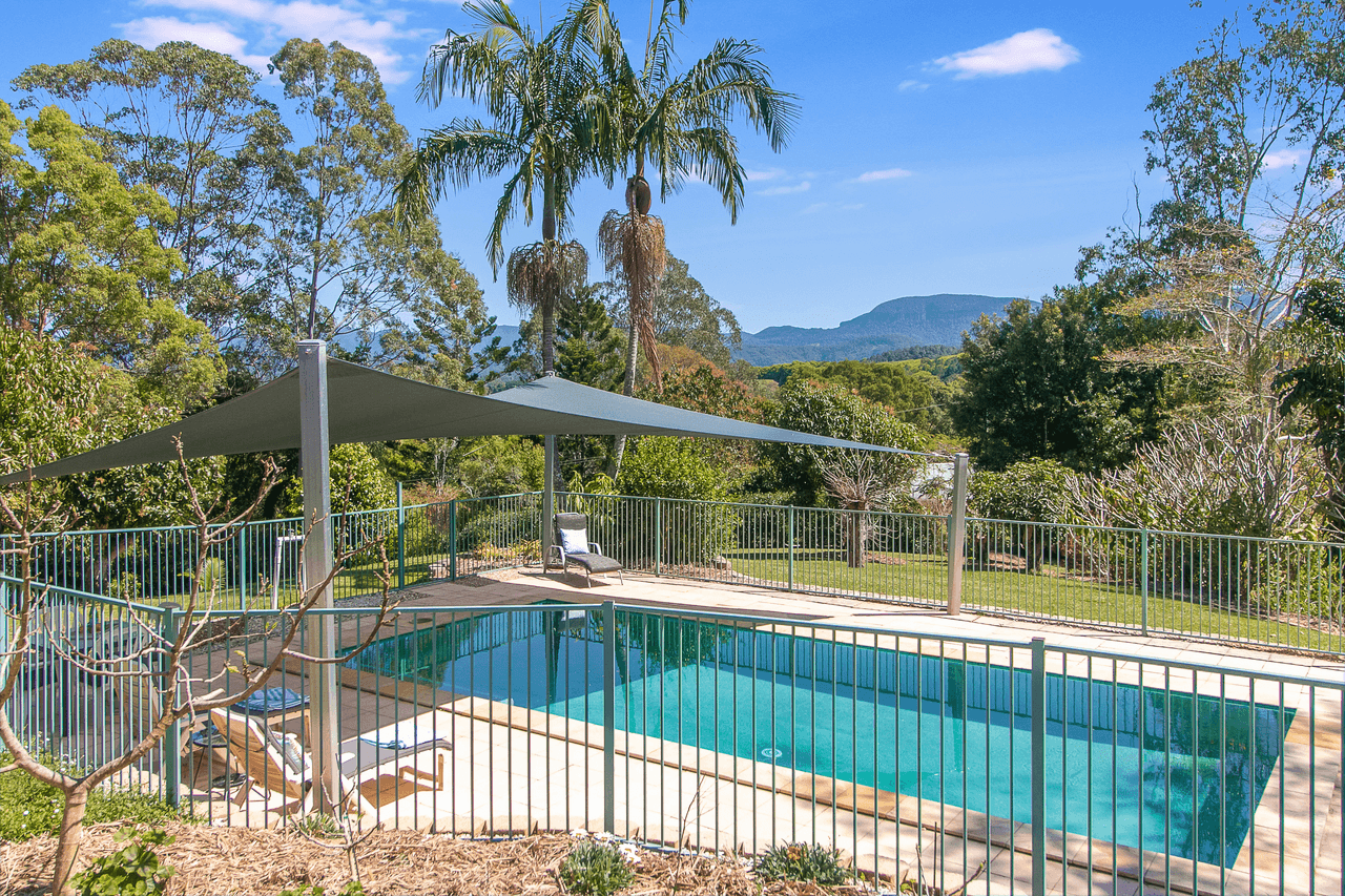 171 Blackwoods Road, NOBBYS CREEK, NSW 2484