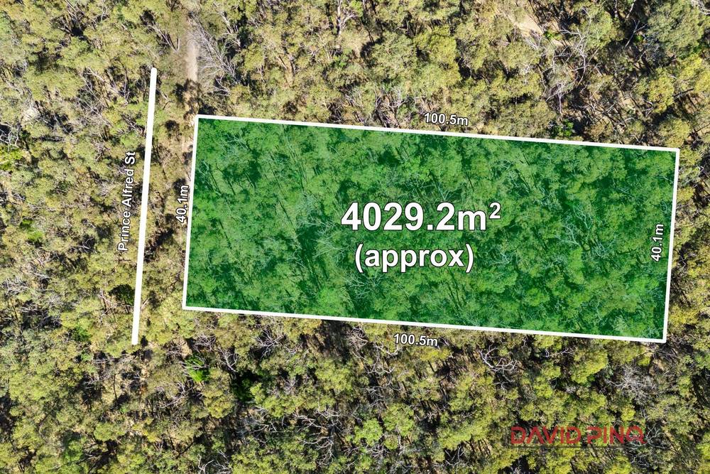 Prince Alfred Street, Riddells Creek, VIC 3431