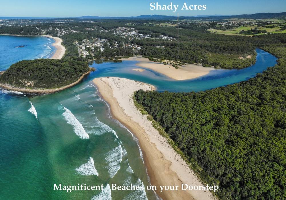 36 Macleay Street, Narrawallee, NSW 2539