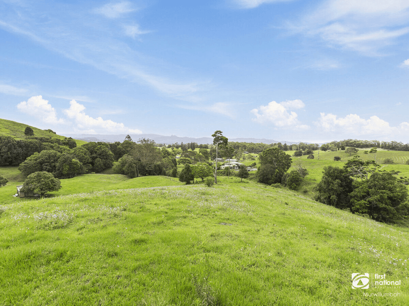 525 Reserve Creek Road, Kielvale, NSW 2484