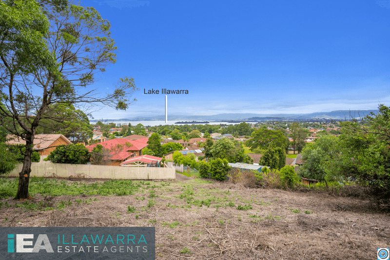 5 Baron Court, BERKELEY, NSW 2506