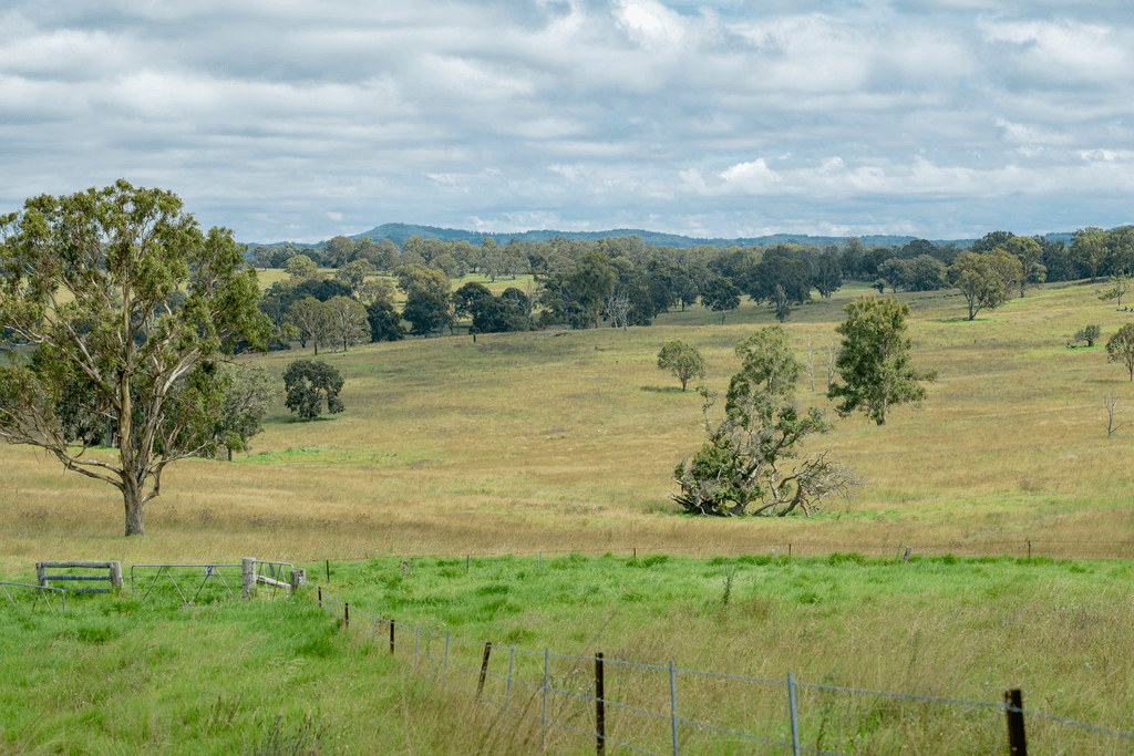 5966 Mount Lindesay Road, LISTON, NSW 2372