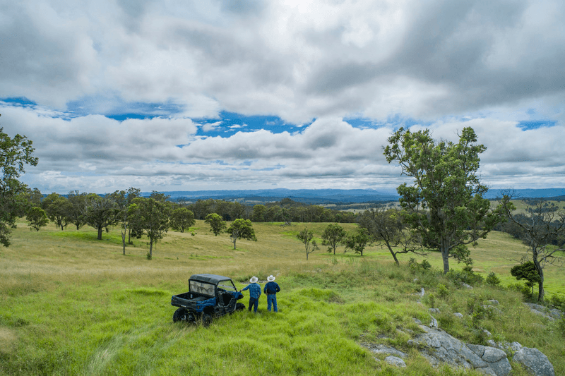 5966 Mount Lindesay Road, LISTON, NSW 2372