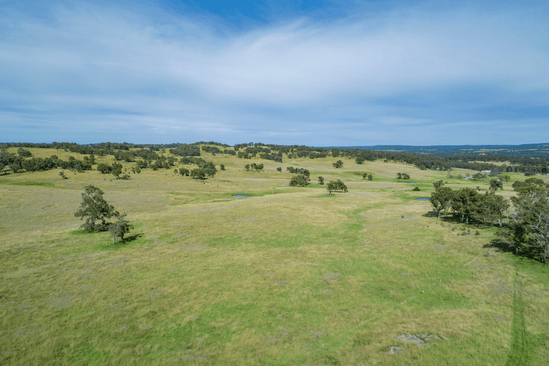 5966 Mount Lindesay Road, LISTON, NSW 2372