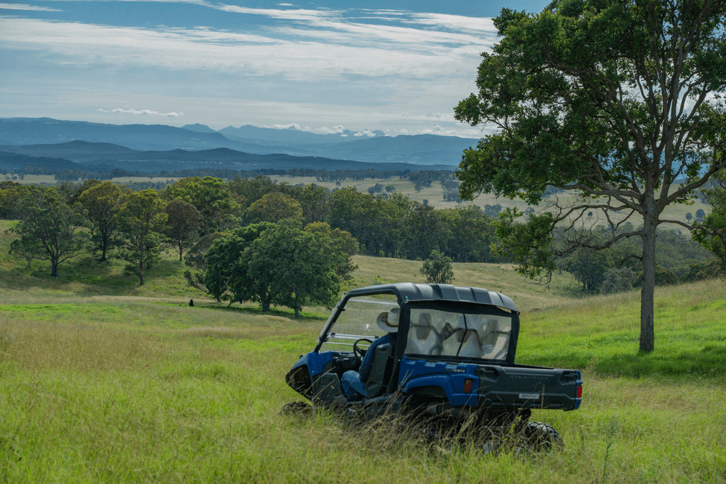 5966 Mount Lindesay Road, LISTON, NSW 2372