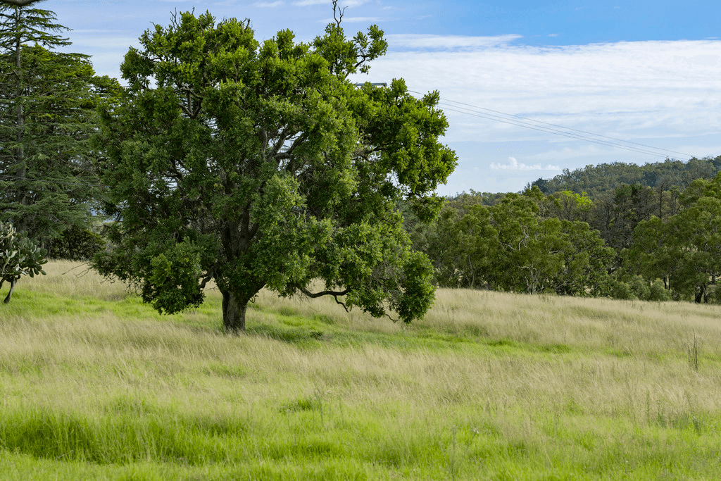 5966 Mount Lindesay Road, LISTON, NSW 2372