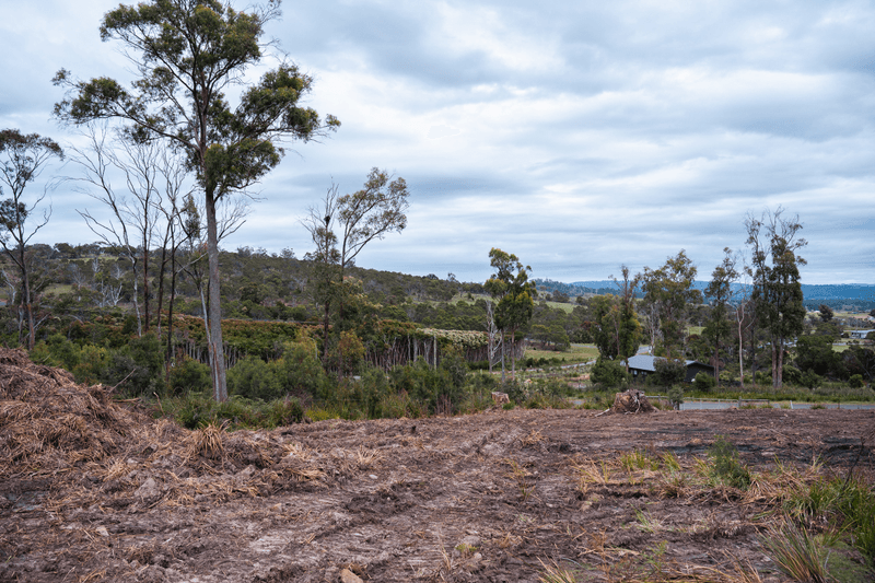 8 Ardea Drive, Swan Bay, TAS 7252