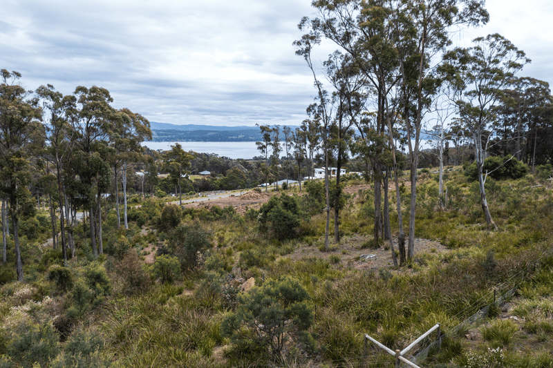 8 Ardea Drive, Swan Bay, TAS 7252