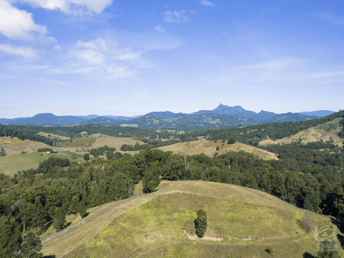 Pigeonberry Road, Nobbys Creek, NSW 2484