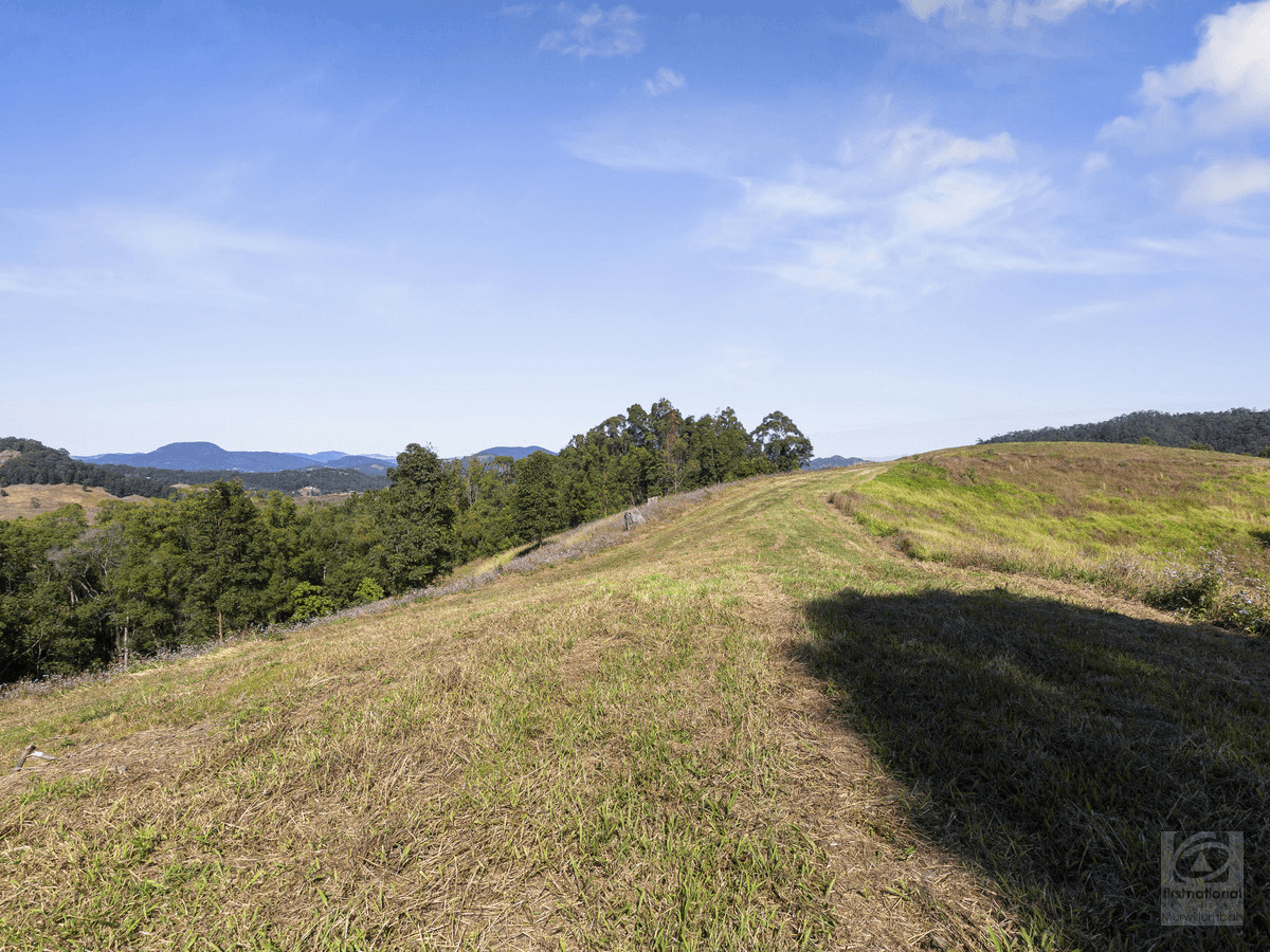 Pigeonberry Road, Nobbys Creek, NSW 2484