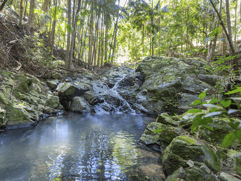 Pigeonberry Road, Nobbys Creek, NSW 2484