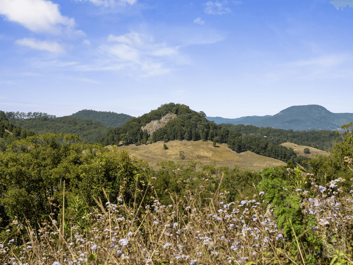 Pigeonberry Road, Nobbys Creek, NSW 2484