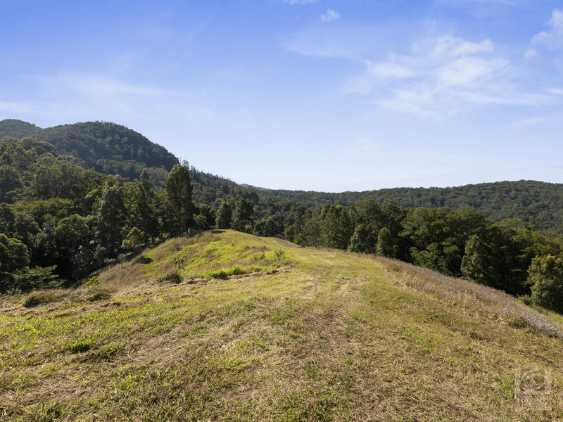 Pigeonberry Road, Nobbys Creek, NSW 2484