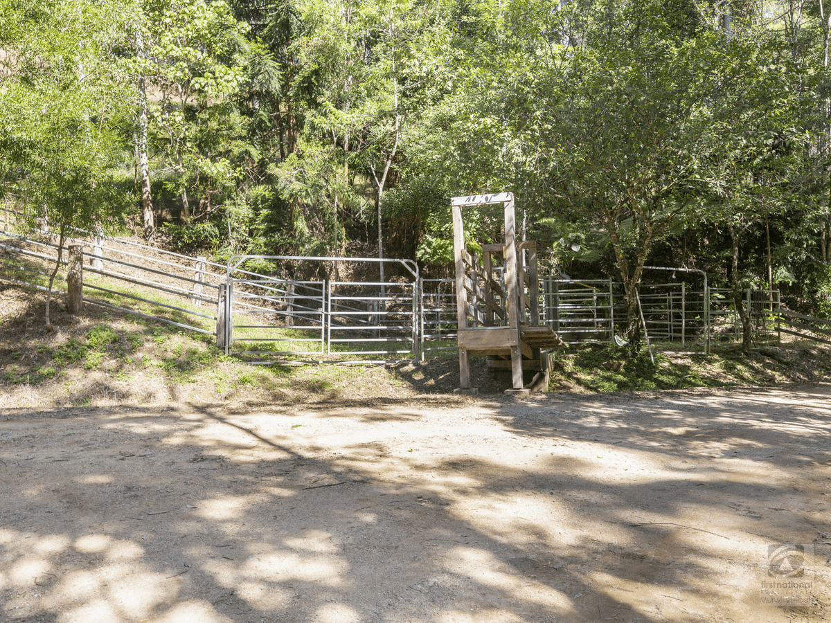 Pigeonberry Road, Nobbys Creek, NSW 2484