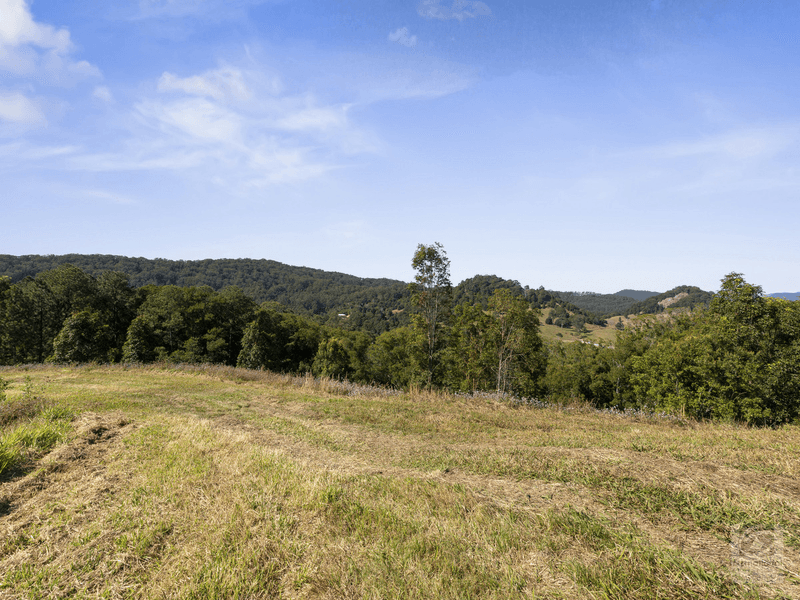 Pigeonberry Road, Nobbys Creek, NSW 2484