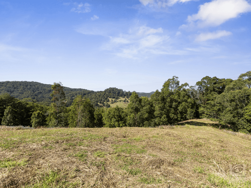 Pigeonberry Road, Nobbys Creek, NSW 2484