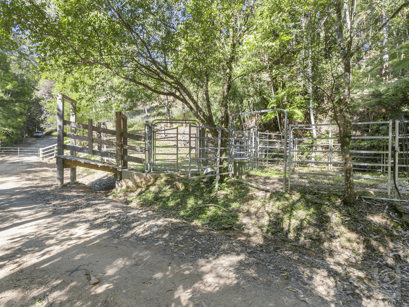 Pigeonberry Road, Nobbys Creek, NSW 2484