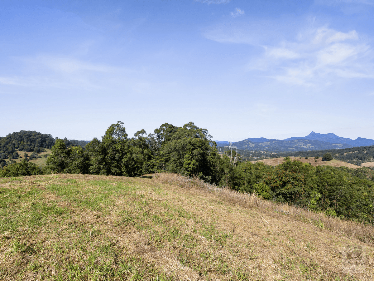 Pigeonberry Road, Nobbys Creek, NSW 2484