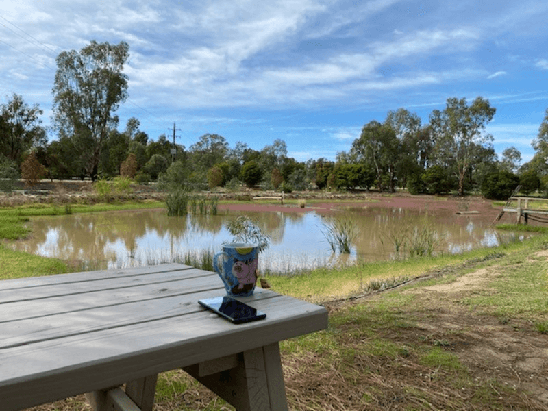 101 Glenview Drive, Barham, NSW 2732