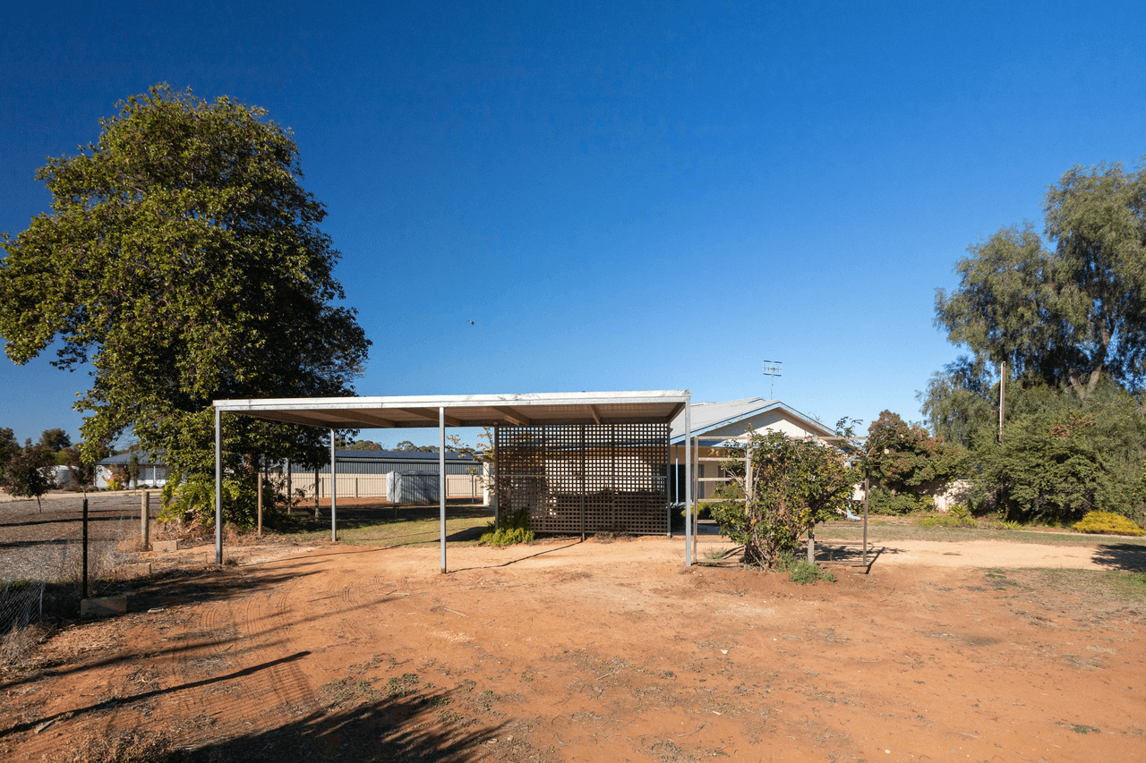 7 Maple Street, BARMERA, SA 5345