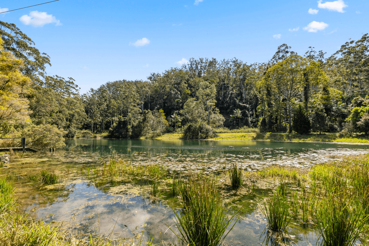 368C Dairyville Road, UPPER ORARA, NSW 2450